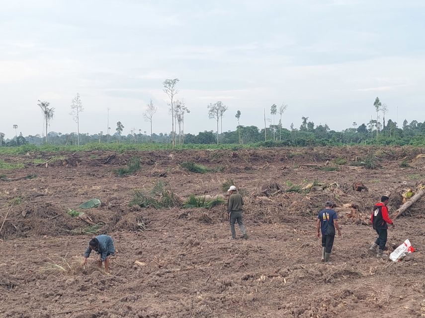 PT BBA Diduga Gusur Kebun, Warga Pandan Sari Tuntut Keadilan dan Minta Ganti Rugi