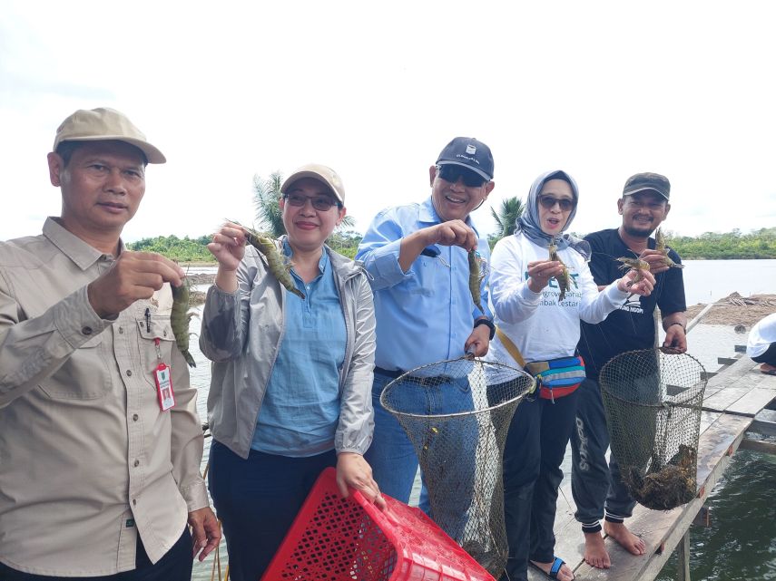 Upaya Pulihkan Ekosistem Mangrove, Pemkab Berau Dukung Pengembangan Program Akuakultur