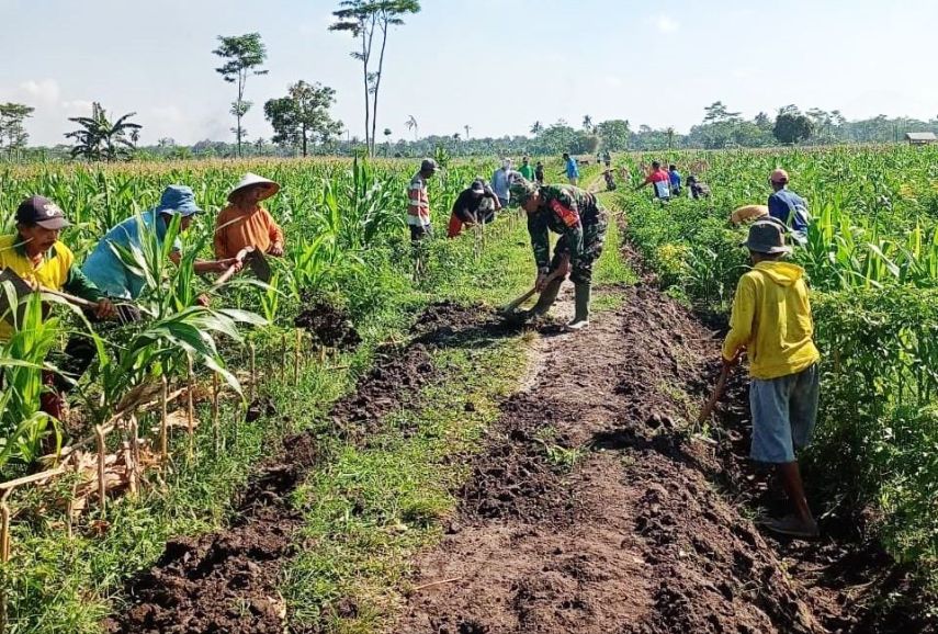 Dorong Kemandirian Ekonomi Desa, DPMD PPU Fokus Pengembangan Potensi Lokal