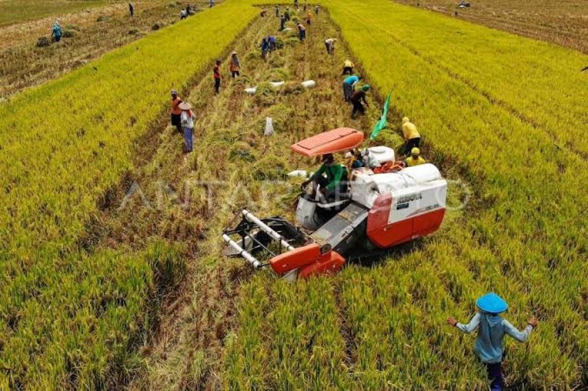 Dispertan PPU Tekankan Pentingnya Sinergi untuk Ketahanan Pangan