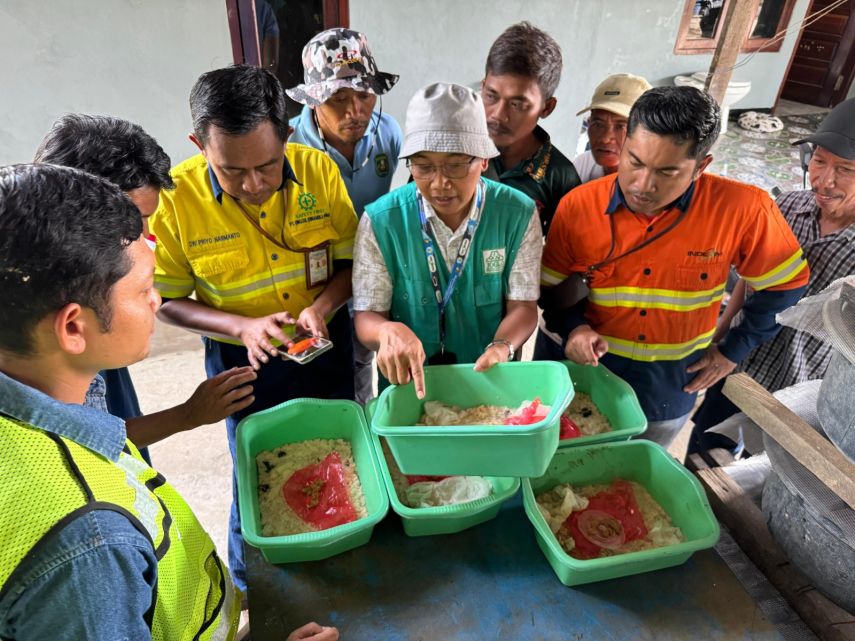 PT Indexim Coalindo Latih Budidaya Maggot bagi Kelompok Tani Hutan di Kutim