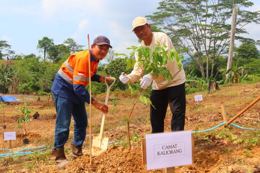 PT Indexim Coalindo Hijaukan Area Agrowisata Desa Bukit Makmur