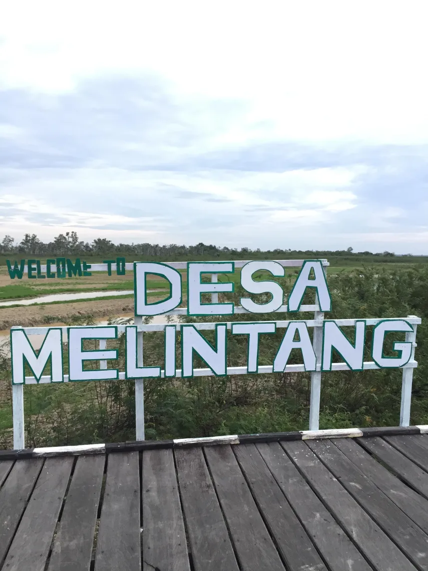 Fakta Unik Desa Melintang  di Kaltim, Suguhkan Pemandangan Alam yang Menawan