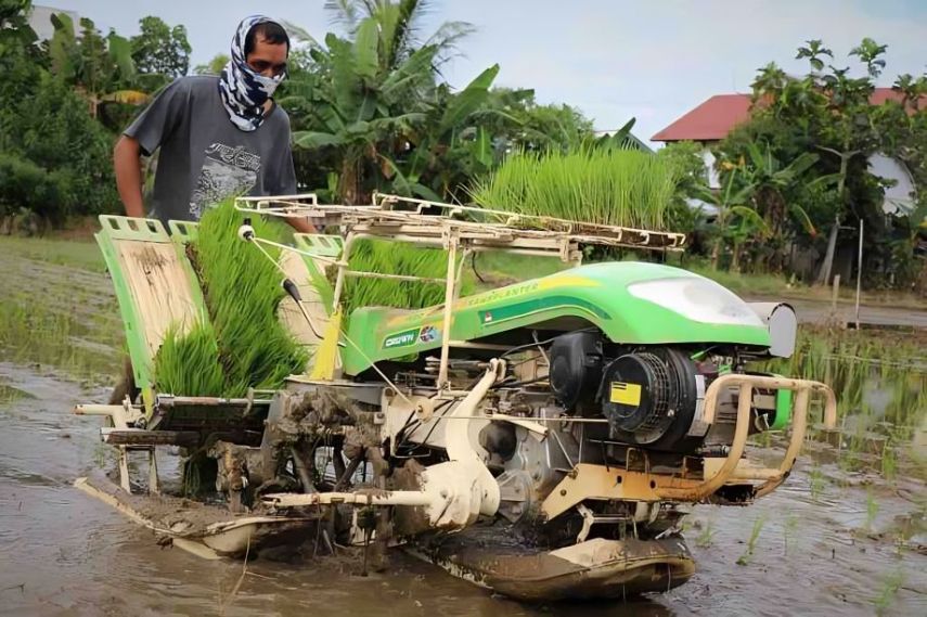 Dispertan PPU Dorong Mekanisasi Pertanian dengan Transplanter, Optimalkan Produksi Padi