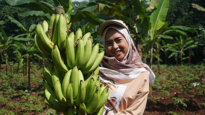 Inovasi Petani Muda di Lawe-Lawe, Dispertan PPU Dukung Pengembangan Hortikultura 