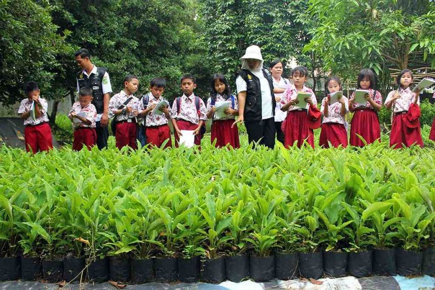 Dorong Minat Generasi Milenial, Dispertan PPU Fokus Kembangkan Hortikultura