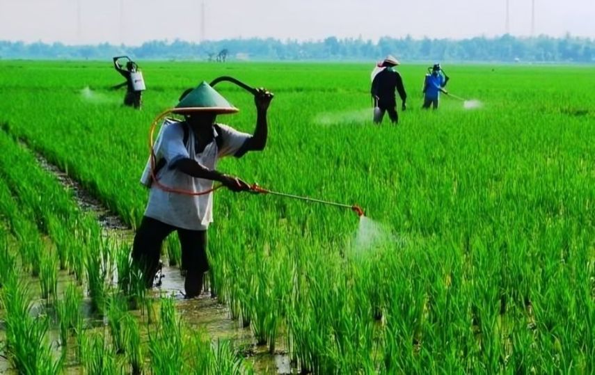 Dispertan PPU Perkuat Pengendalian Berbagai Jenis Hama untuk Jaga Produktivitas Pertanian