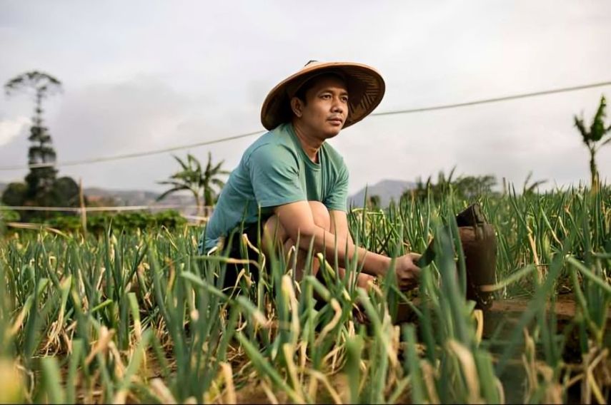 Regenerasi Petani di PPU, Upaya Menarik Minat Generasi Milenial ke Dunia Pertanian