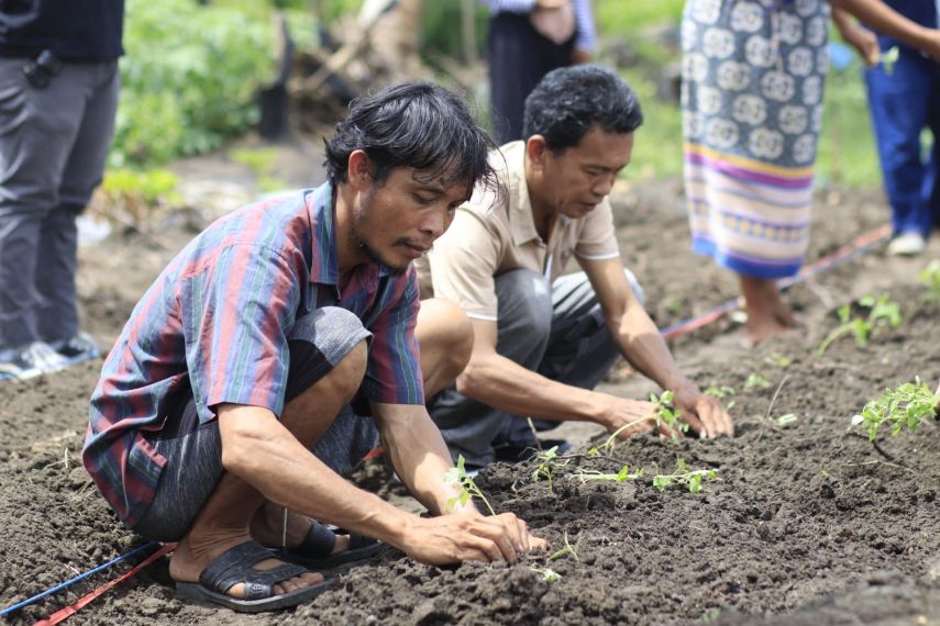 DKP PPU Dorong Pengembangan Hortikultura di Rumah Pangan dan Kelompok Tani