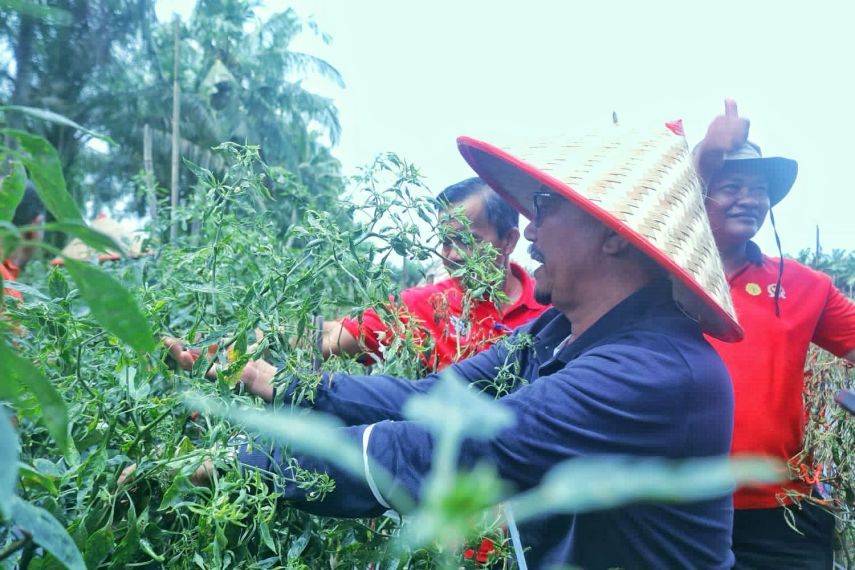 DKP PPU Imbau Warga Tanam Cabai di Pekarangan untuk Redam Inflasi Nataru