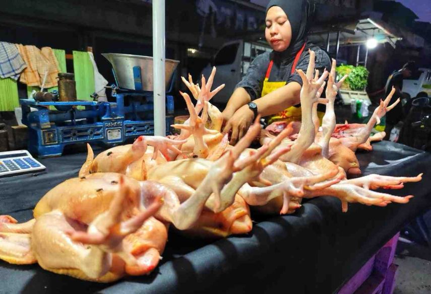 PPU Surplus Daging Ayam, DKP Dorong Regulasi yang Prioritaskan Produk Lokal