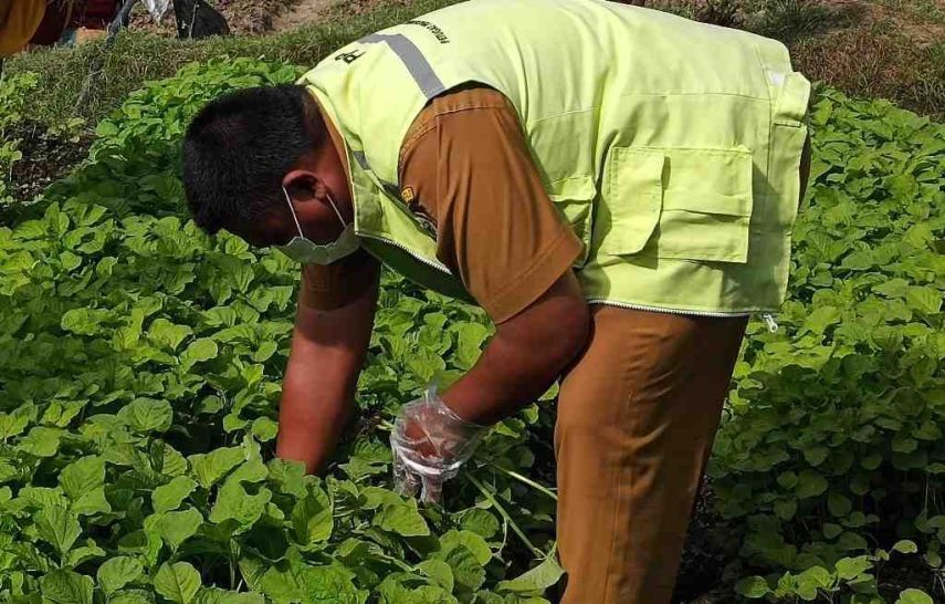 Dukung IKN dan Masyarakat Lokal, DKP PPU Pastikan Produk Pangan Bebas Residu