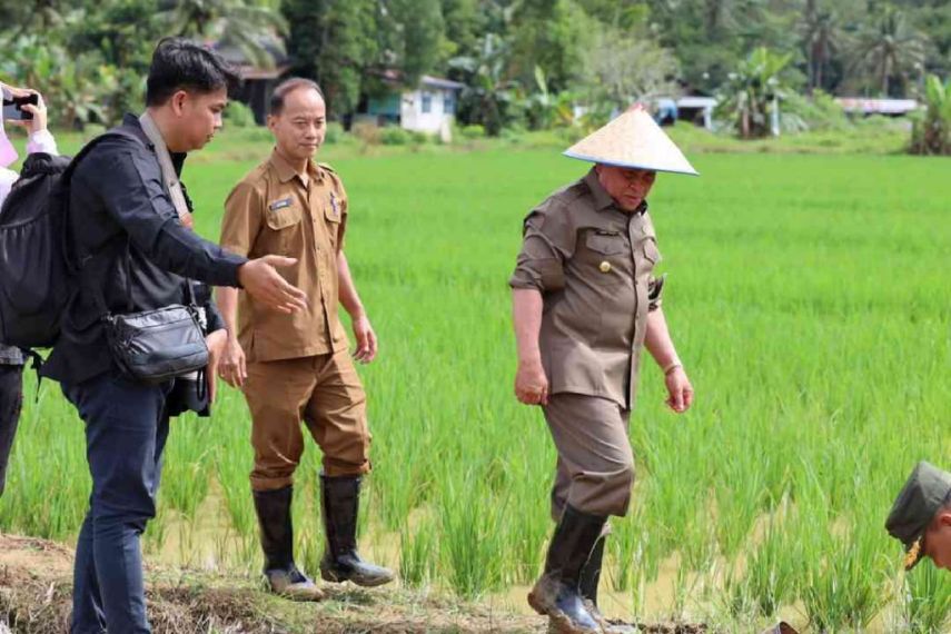 Dukungan Isran Noor untuk Petani Kaltim: Dari Peningkatan NTP hingga Ekspansi Lahan Pertanian