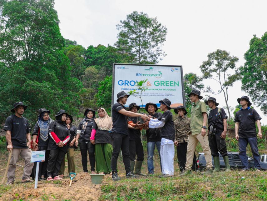 Pulihkan Hutan Eks Tambang, Kelompok Tani dan BRI Kolaborasi Menanam-Grow & Green untuk Lingkungan yang Lebih Baik