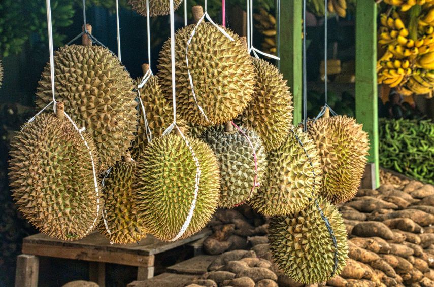 8 Kombinasi Makanan dan Minuman yang Harus Dihindari Saat Mengonsumsi Durian