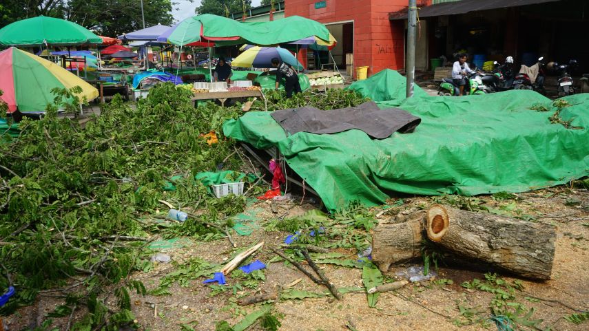 Pohon Tumbang Timpa Kios di Pasar Sanggam Adji Dilayas Berau