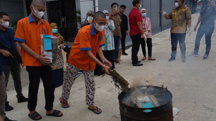 BNNP Kaltim Musnahkan 4 Kilogram Ganja, Mahasiswa Ikut Diamankan