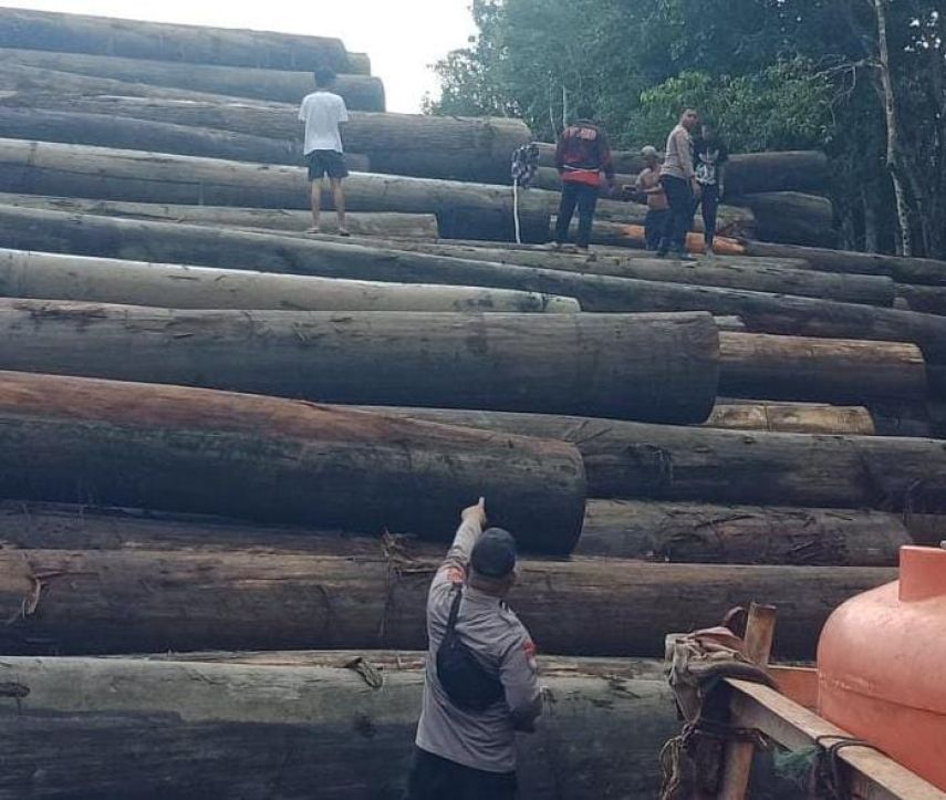 Kecelakaan Kerja di PT Bahtera Sejahtera, Chip Officer Meninggal Tertimpa Longsoran Kayu