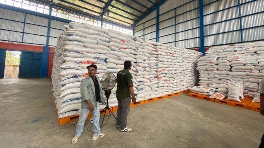 Keterbatasan Gudang Penyimpanan, Bulog Berau Belum Serap Gabah dari Petani