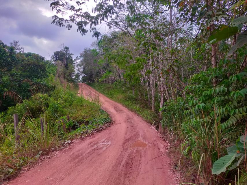 Pemkab Berau Diminta Turun Tangan Lanjutkan Pembenahan Jalan Menuju Ekowisata Kampung Long Beliu