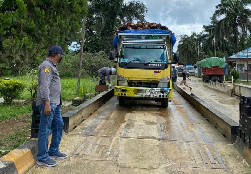 UPTD Meteorologi Berau Butuh Tambahan SDM Kompeten untuk Tera Timbangan Kelapa Sawit