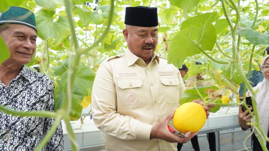 Greenhouse Melon Kukar Panen Perdana, Bupati Kukar Optimis Jadi Peluang Baru bagi Petani Lokal