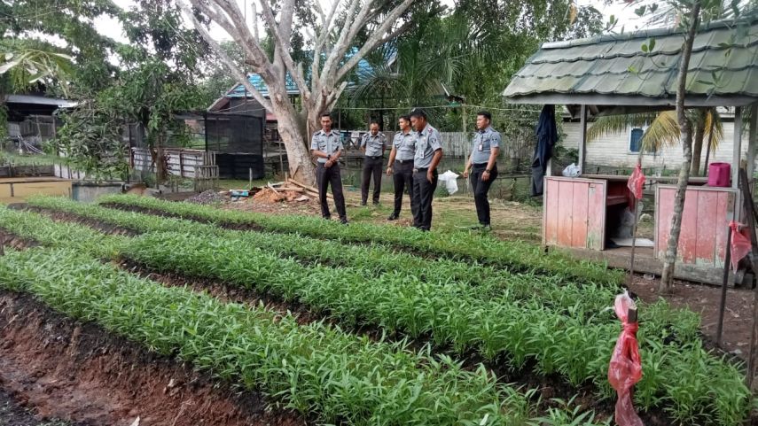 Dukung Ketahanan Pangan, Lapas Tenggarong Budidaya Ikan hingga Kebun Kangkung