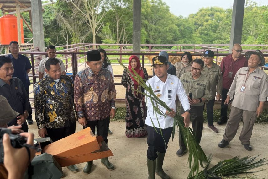 Kaltim Menuju Kedaulatan Pangan, Rudy Mas’ud Akan Genjot Produksi Ayam dan Telur