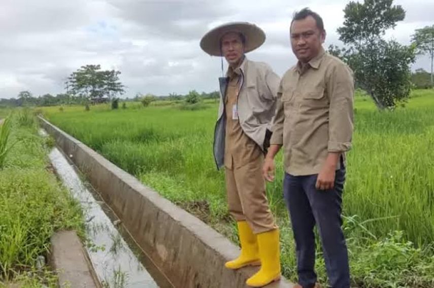 DTPHP Berau Tegaskan Upaya Cegah Alih Fungsi Lahan Pertanian, Siapkan Perda LP2B