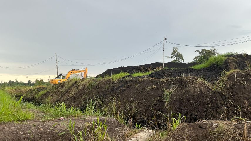 Lahan Terhimpit Tambang, Petani Embalut Berjuang Kembalikan Kesuburan Tanah