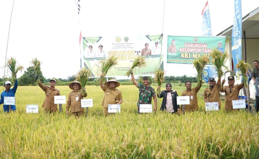 Panen Raya di Sidorejo, Bupati PPU Dorong Pertanian Jadi Penopang Ekonomi Daerah