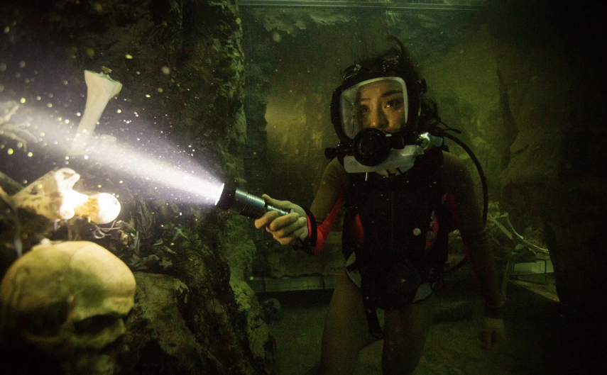 Jadwal Bioskop Trans TV 28 April-4 Mei 2025, Ada Drunken Master II hingga 47 Meters Down