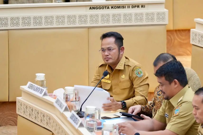 Gubernur Kaltim Rudy Mas'ud Dorong Pengangkatan Tenaga Non-ASN Jadi PPPK dalam RDP bersama DPR RI