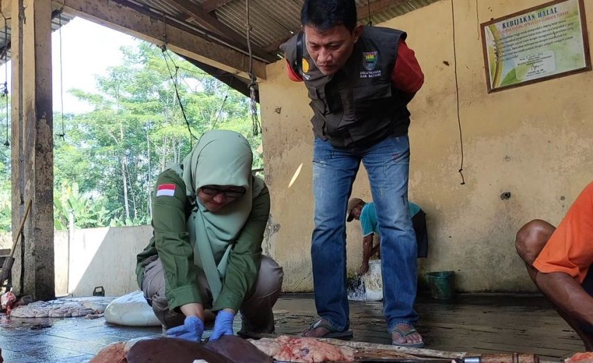 Dorong Pemotongan di RPH, Distan PPU Andalkan Juleha Bersertifikat
