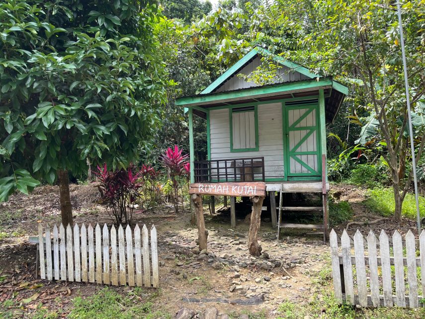 Museum Kayu Kukar Bersiap Revitalisasi, Pembangunan Rumah Adat Direncanakan di 2025