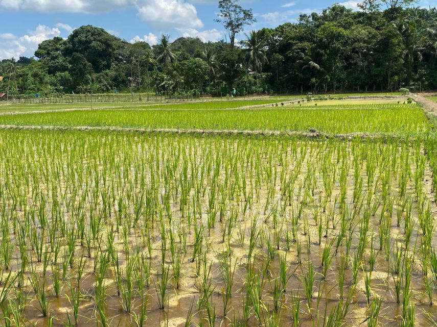 Banjir Ancam Produktivitas Pangan Kukar, Pengamat: Ekologi dan Ekonomi Tidak Bisa Dipisahkan