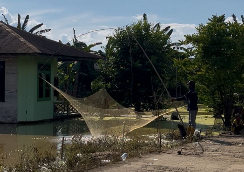 Tambak Ikan Terendam Banjir, Kades Ponoragan Harap Bantuan Induk Berkualitas dari Pemkab Kukar