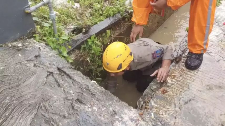 Balita 2 Tahun Hanyut Terseret Banjir di Balikpapan, Tim SAR Lakukan Pencarian Intensif