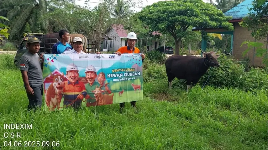 Meriahkan Iduladha, PT Indexim Coalindo Salurkan Hewan Kurban ke 22 Desa di Kutim