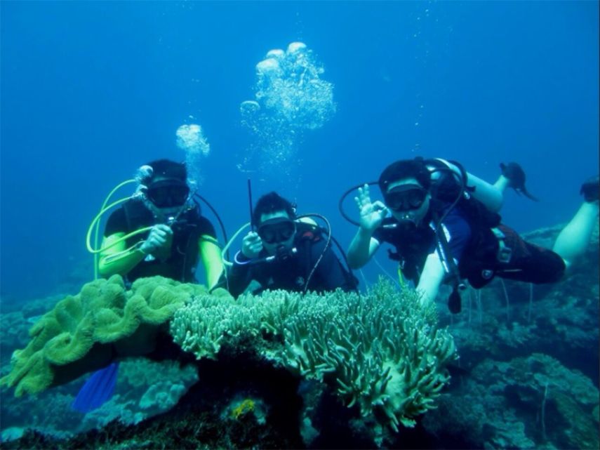 Daya Tarik Bawah Laut Pantai Biru Kersik Diperkuat, Pokdarwis Kini Bersertifikat Diving