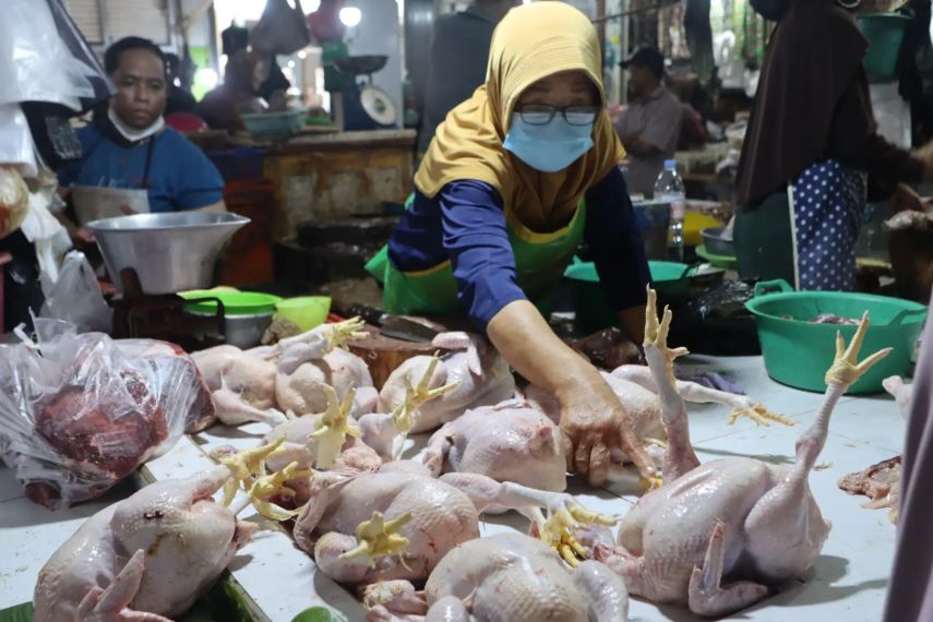 Menjelang Iduladha 2025, Harga Pangan di Kaltim Stabil dan Stok Aman