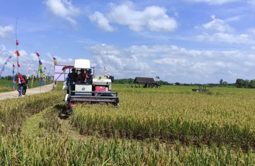 Dorong Ketahanan Pangan, Desa Jembayan Tengah Dorong Produktivitas Pertanian dan Libatkan Petani Milenial