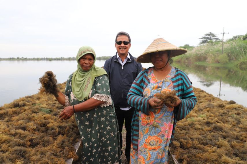 Produksi Perikanan Budidaya di PPU Tertolong Rumput Laut, Konsumsi Justru Masih Rendah