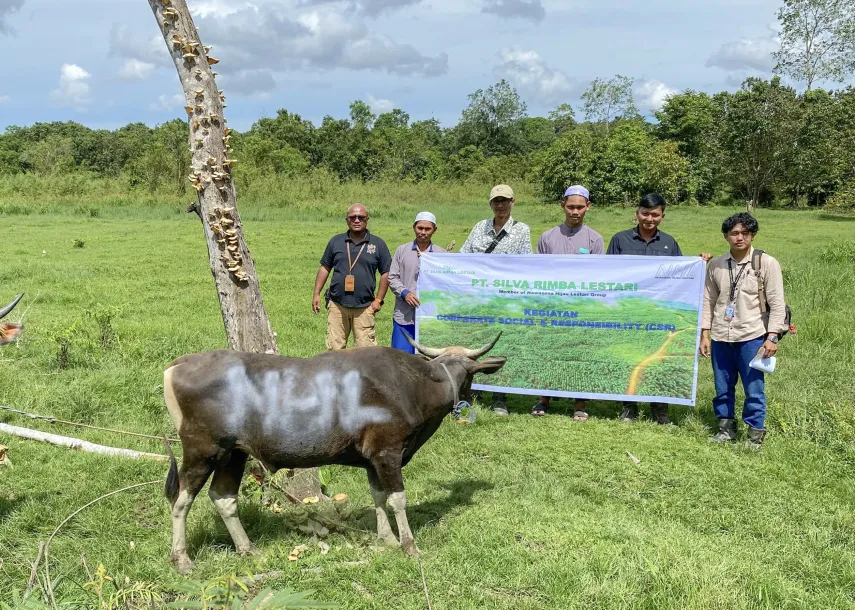 PT Silva Rimba Lestari Salurkan Hewan Kurban untuk Warga Desa Long Beleh Haloq