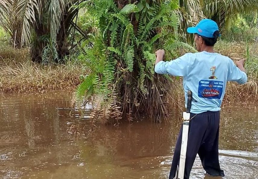 DPRD Berau Minta DLHK Tindak Lanjuti Dugaan Pencemaran Limbah Tambang di Segah