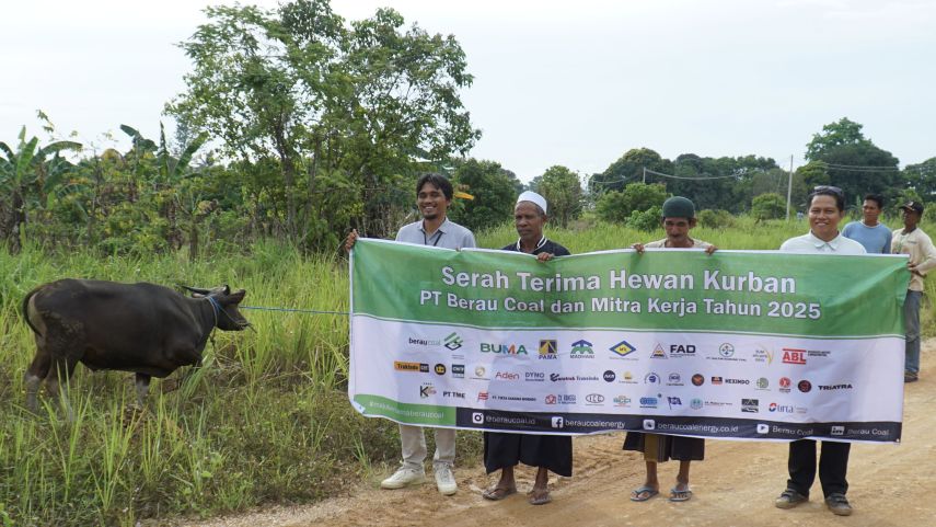 PT Berau Coal dan Mitra Salurkan Hewan Kurban ke Kampung Lingkar Tambang di Momen Iduladha 1446 H