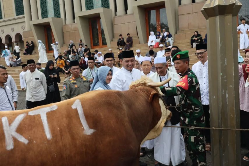 Pemprov Kaltim Salurkan 21 Sapi Kurban, Wagub Seno Aji: Wujud Kebersamaan dan Kepedulian untuk Semua