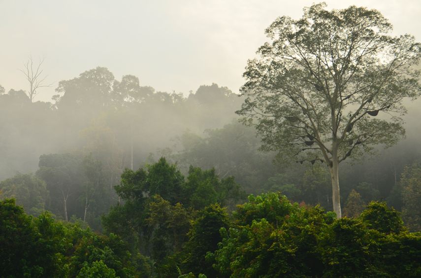 Menggeris Tampilkan Aksesori Kayu Khas Kalimantan di EBIFF 2025, Tembus Pasar Ekspor