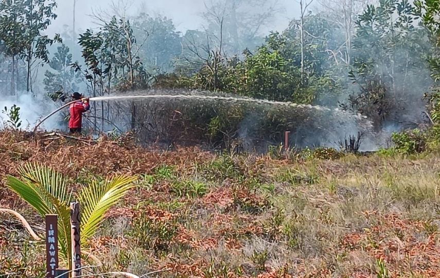Bupati Berau Soroti Fenomena Cuaca Ekstrem, Minta Antisipasi Penanggulangan Karhutla Diperketat