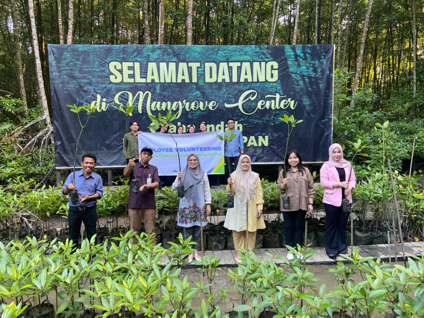 Karyawan BPJS Ketenagakerjaan Balikpapan Tanam 78 Bibit Mangrove di Teluk Balikpapan